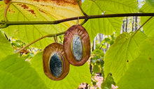 Load image into Gallery viewer, Snake Eyes Always