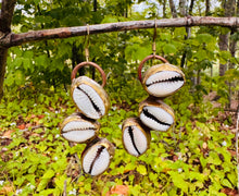 Load image into Gallery viewer, Three Cowrie