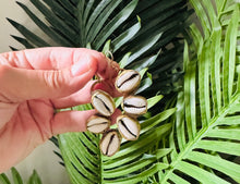 Load image into Gallery viewer, Three Cowrie