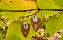 Load image into Gallery viewer, Arrow of Cowrie

