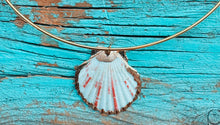 Load image into Gallery viewer, Shell Choker 3
